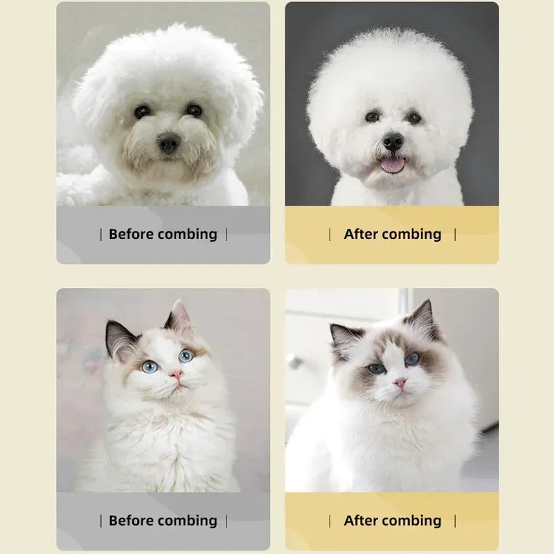 Peigne Volume Pro
